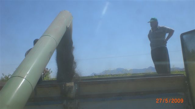 Resmi B�y�tmek ��in T�klay�n�z