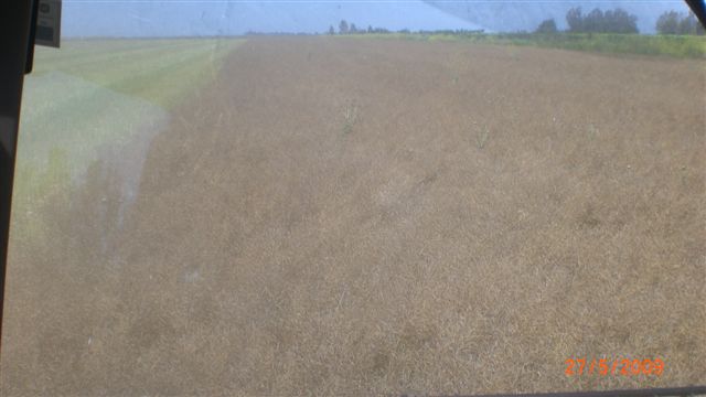 Resmi B�y�tmek ��in T�klay�n�z