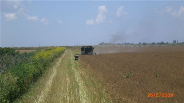 Resmi Bytmek in Tklaynz
