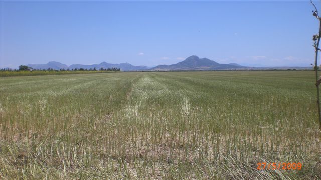 Resmi B�y�tmek ��in T�klay�n�z