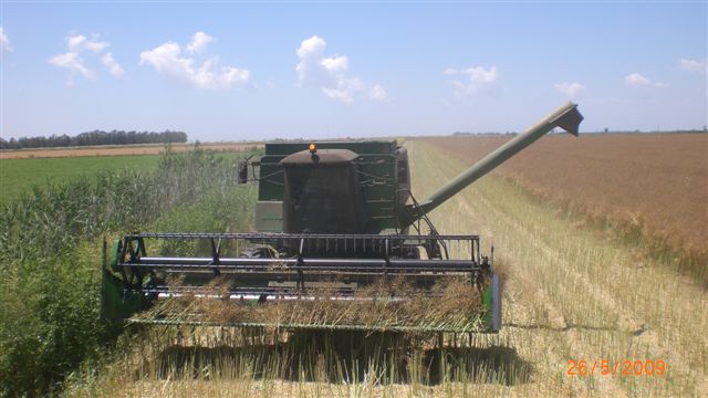 Resmi Bytmek in Tklaynz