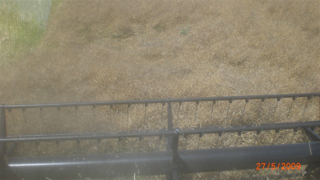 Resmi B�y�tmek ��in T�klay�n�z