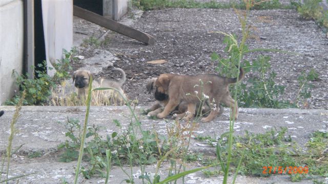 Resmi B�y�tmek ��in T�klay�n�z