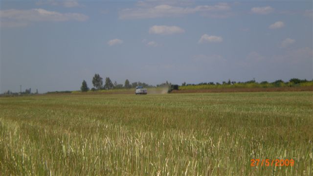 Resmi B�y�tmek ��in T�klay�n�z