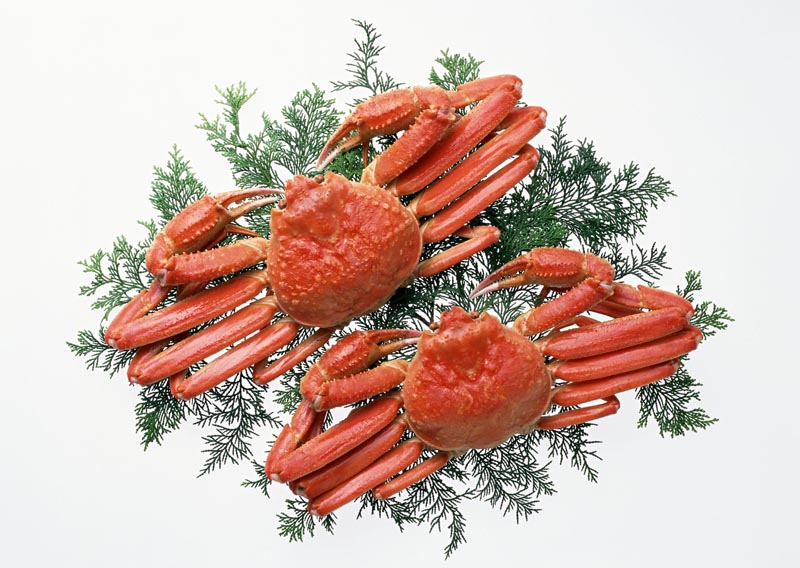 Resmi Bytmek in Tklaynz
