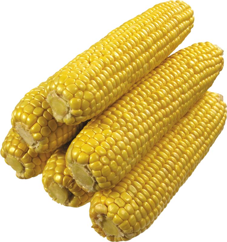 Resmi Bytmek in Tklaynz