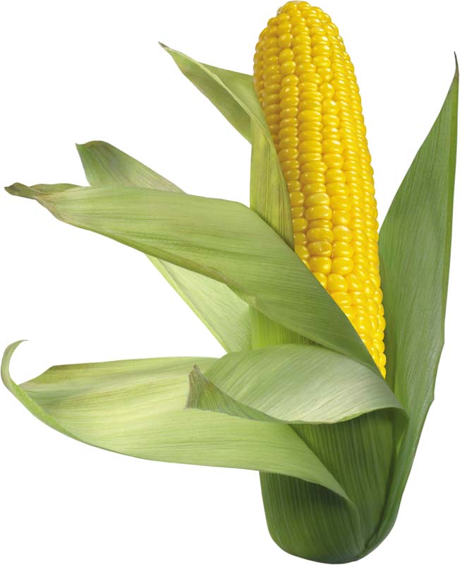Resmi Bytmek in Tklaynz