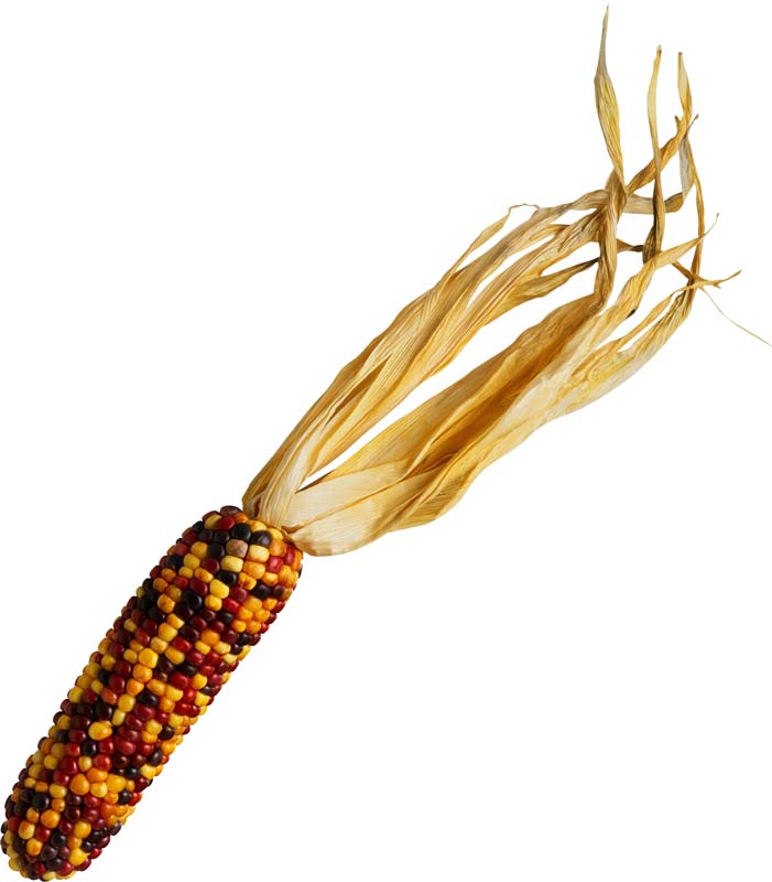 Resmi Bytmek in Tklaynz
