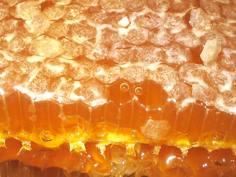 Resmi B�y�tmek ��in T�klay�n�z