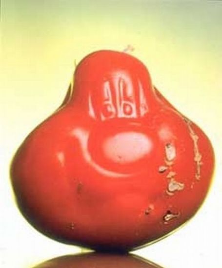 Resmi Bytmek in Tklaynz