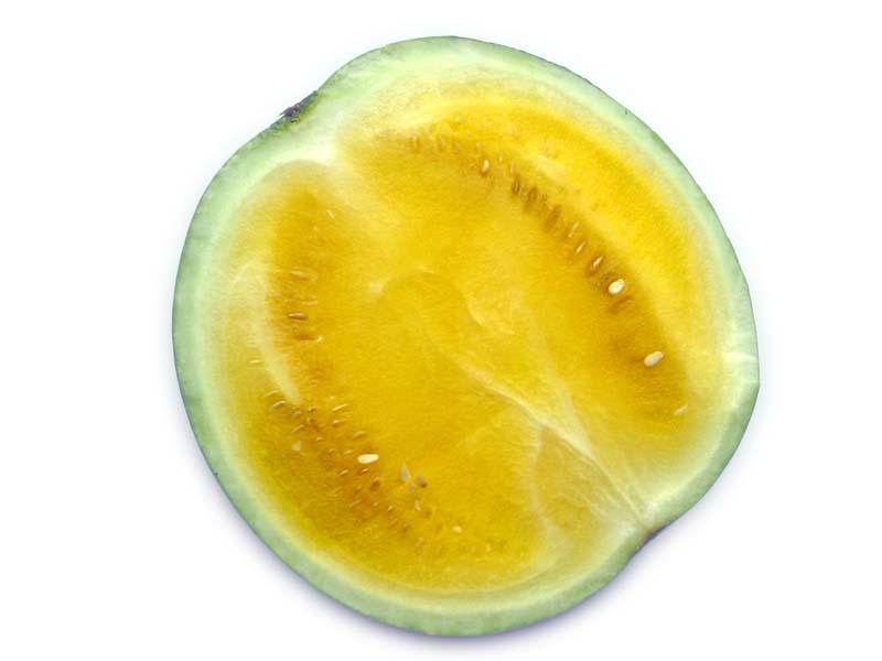 Resmi Bytmek in Tklaynz