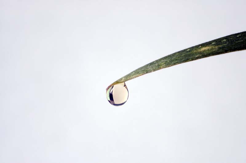 Resmi B�y�tmek ��in T�klay�n�z