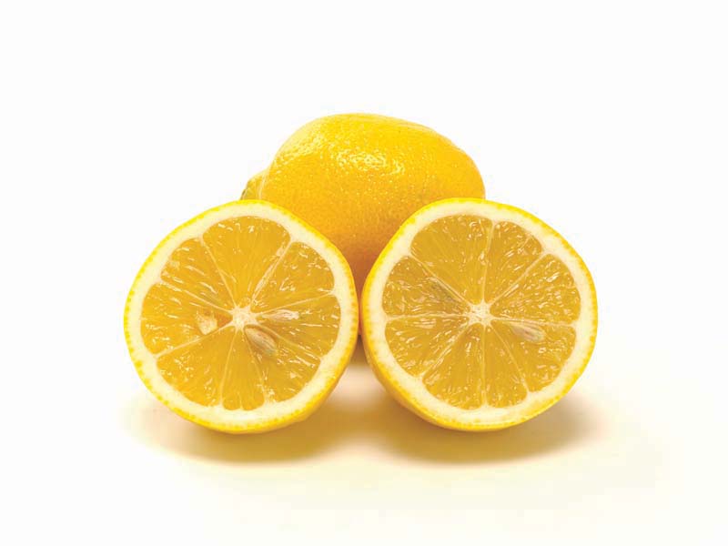 Resmi Bytmek in Tklaynz