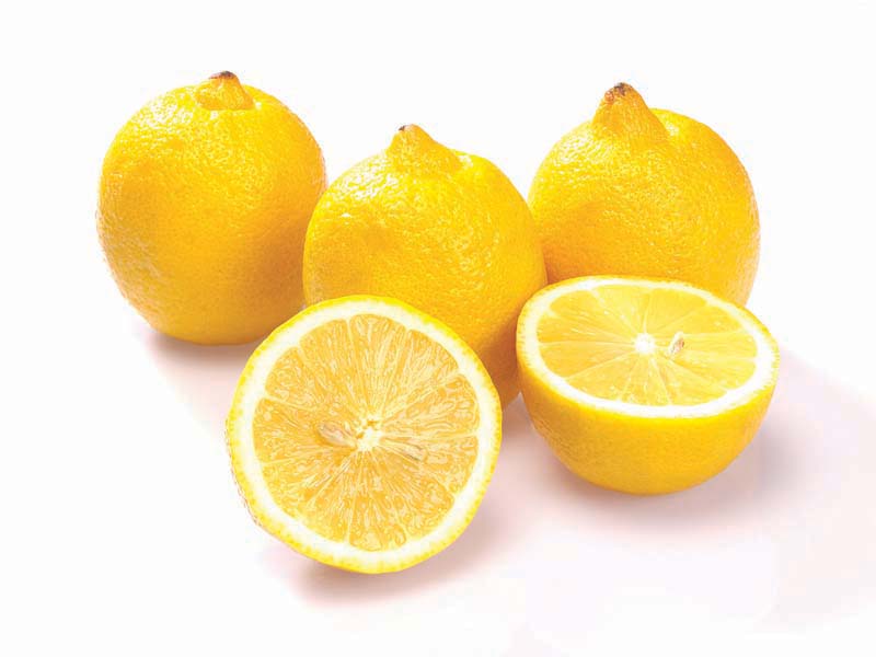 Resmi Bytmek in Tklaynz