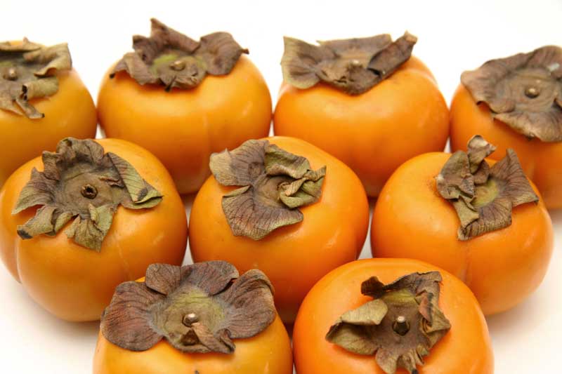 Resmi B�y�tmek ��in T�klay�n�z