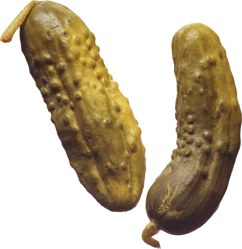 Resmi Bytmek in Tklaynz