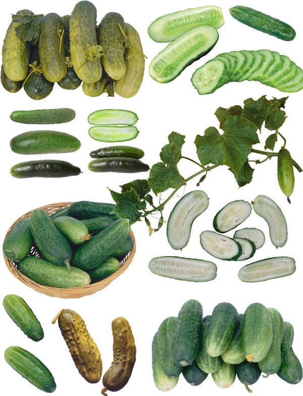 Resmi Bytmek in Tklaynz