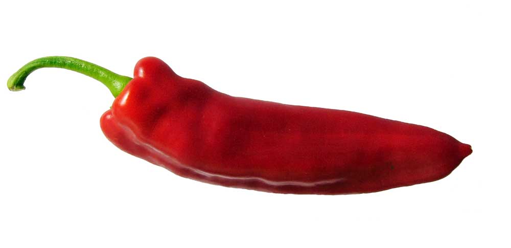 Resmi Bytmek in Tklaynz