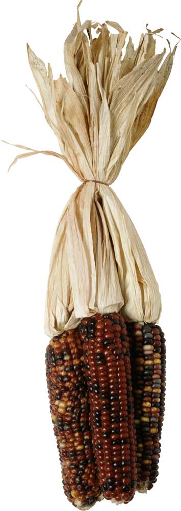 Resmi Bytmek in Tklaynz