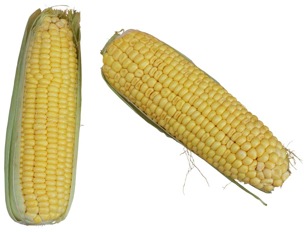 Resmi Bytmek in Tklaynz