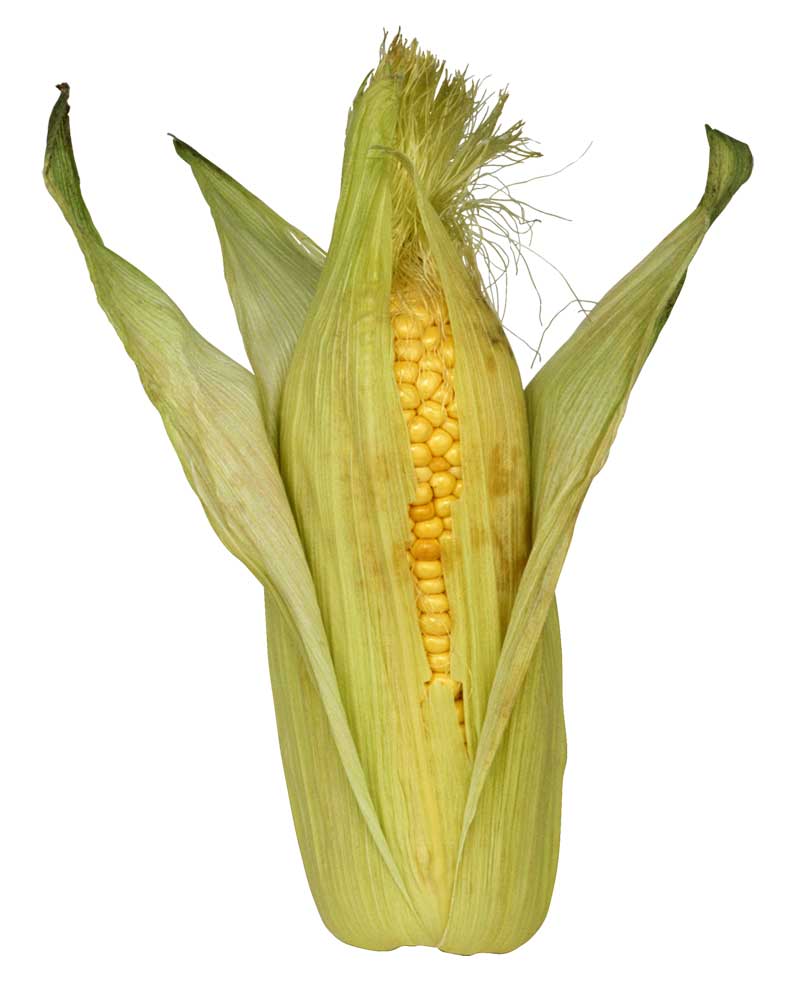 Resmi Bytmek in Tklaynz