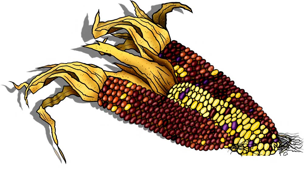 Resmi B�y�tmek ��in T�klay�n�z