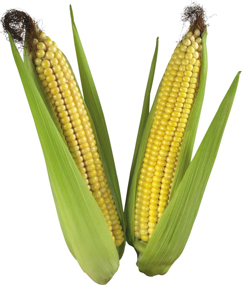 Resmi Bytmek in Tklaynz