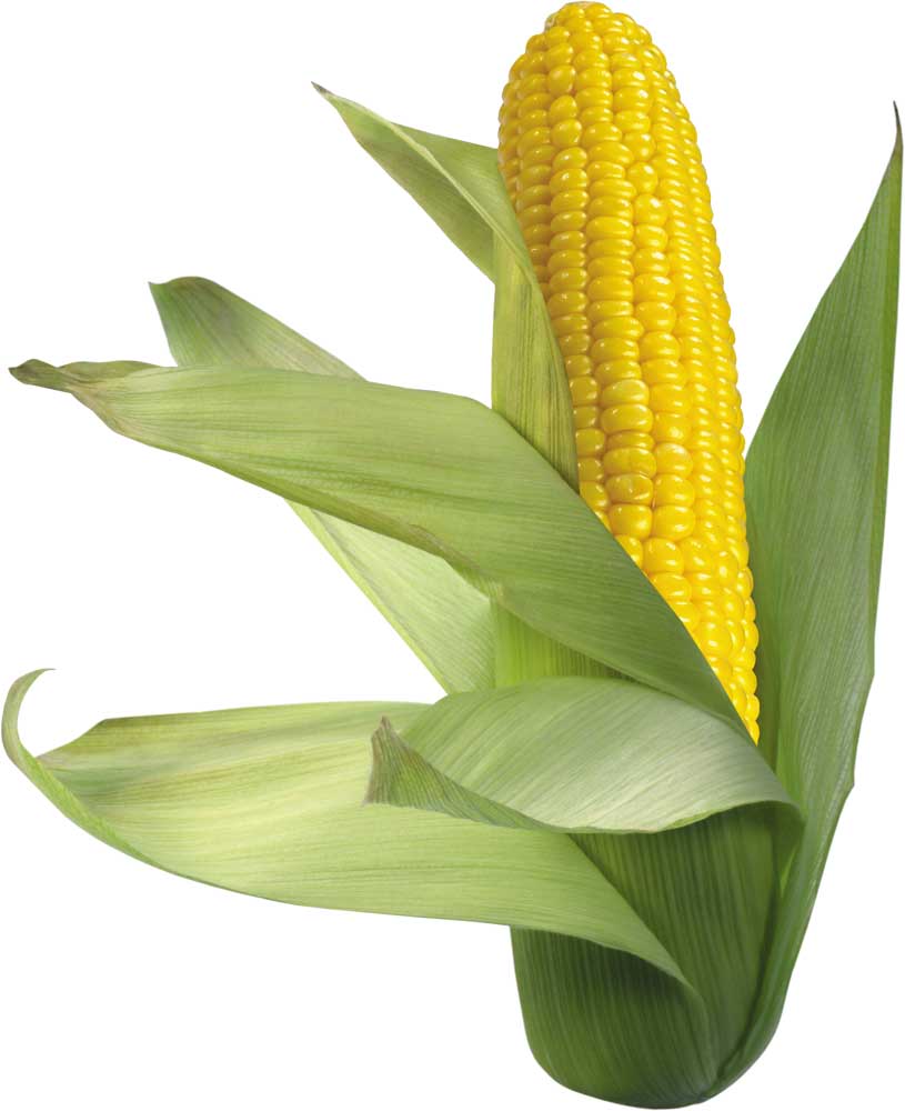 Resmi Bytmek in Tklaynz