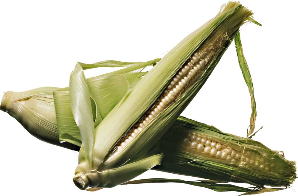 Resmi B�y�tmek ��in T�klay�n�z