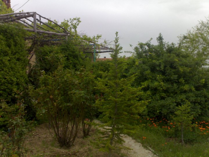 Resmi Bytmek in Tklaynz