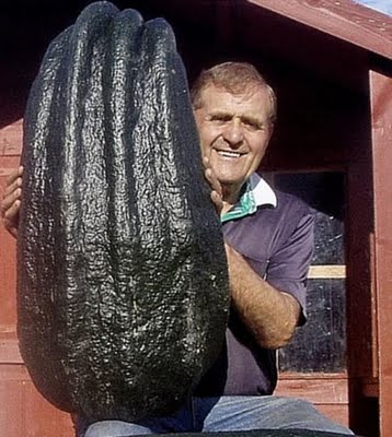 Resmi Bytmek in Tklaynz