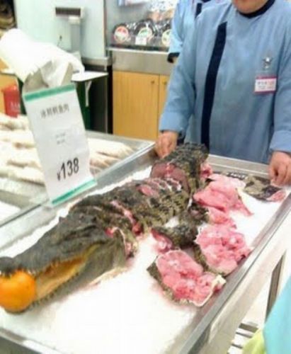 Resmi B�y�tmek ��in T�klay�n�z