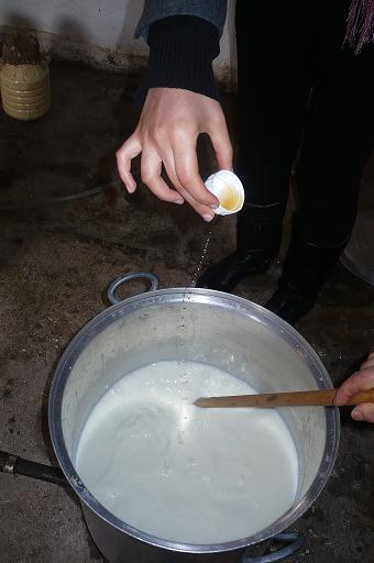 Resmi Bytmek in Tklaynz