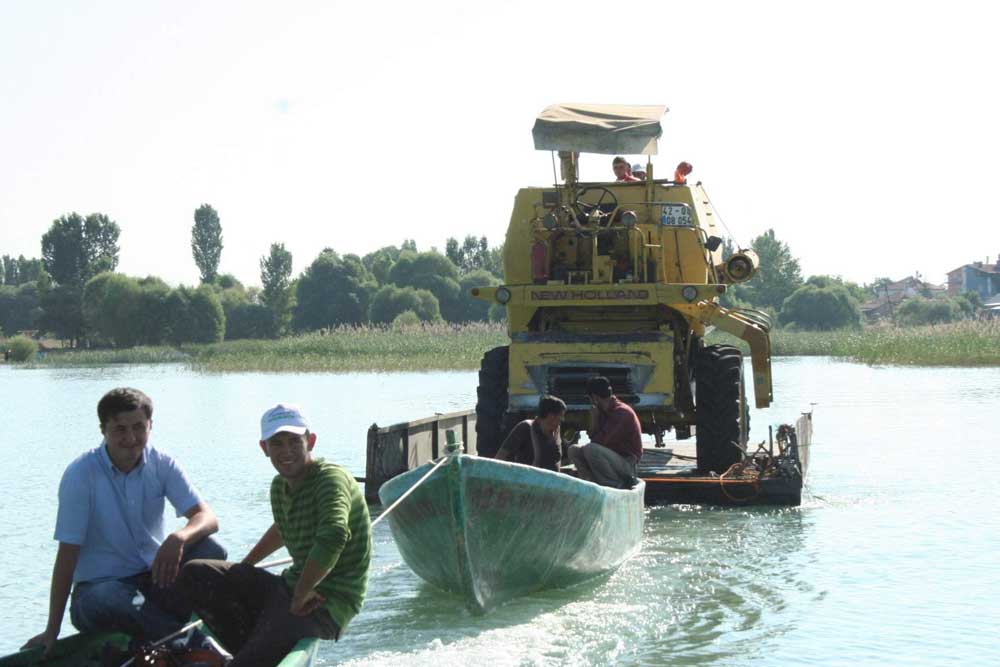 Resmi Bytmek in Tklaynz