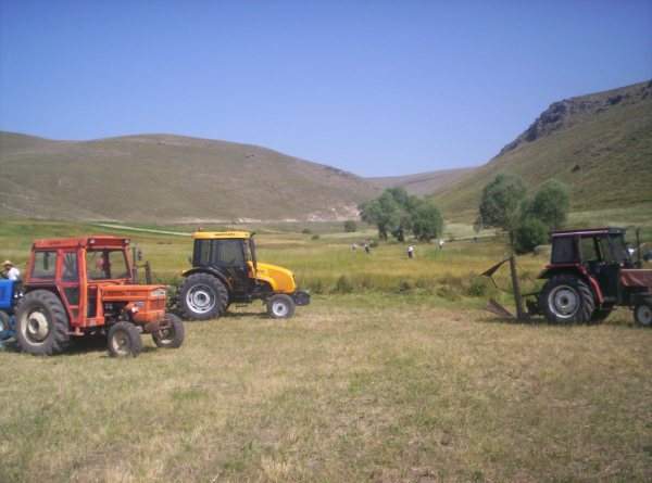 Resmi Bytmek in Tklaynz
