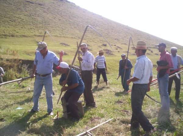 Resmi Bytmek in Tklaynz