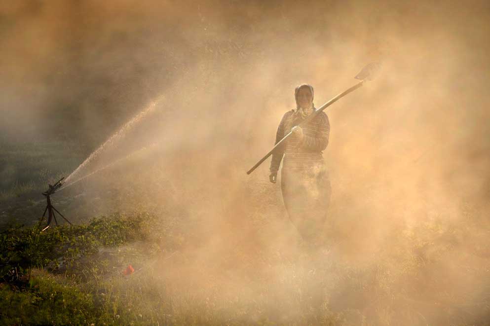 Resmi B�y�tmek ��in T�klay�n�z