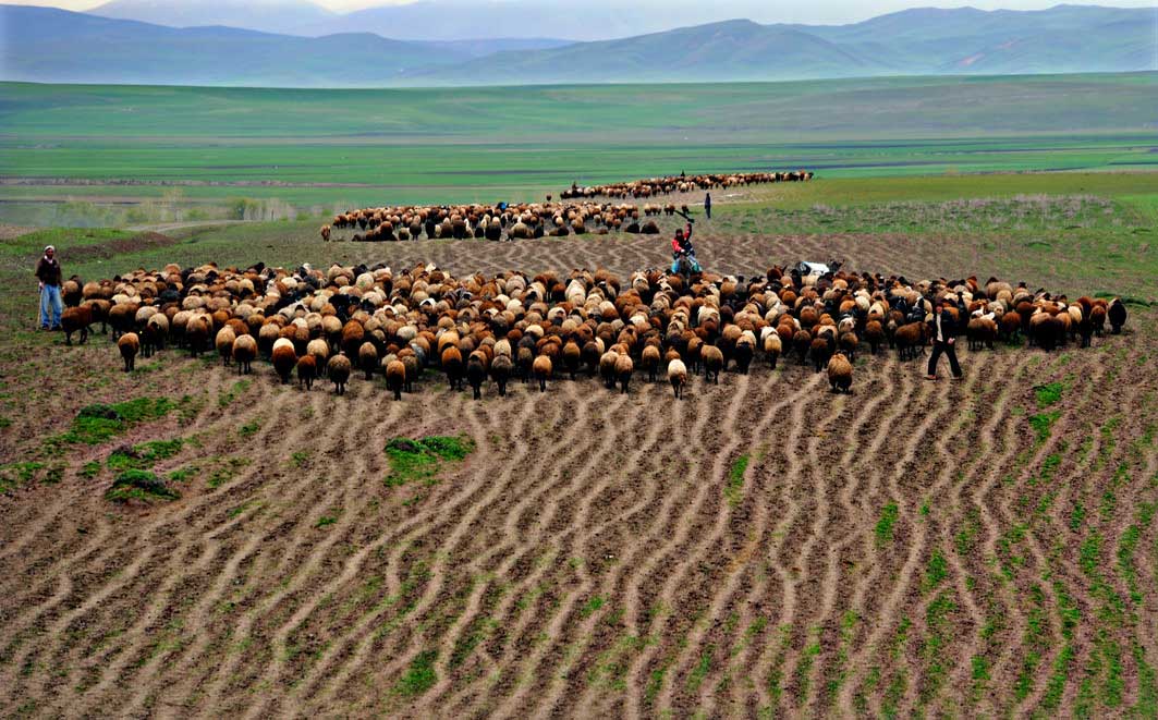 Resmi B�y�tmek ��in T�klay�n�z