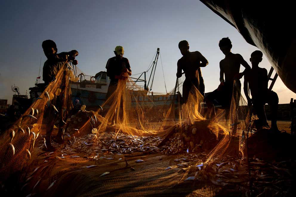 Resmi B�y�tmek ��in T�klay�n�z