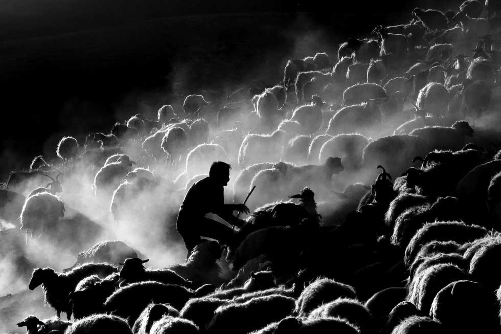 Resmi B�y�tmek ��in T�klay�n�z