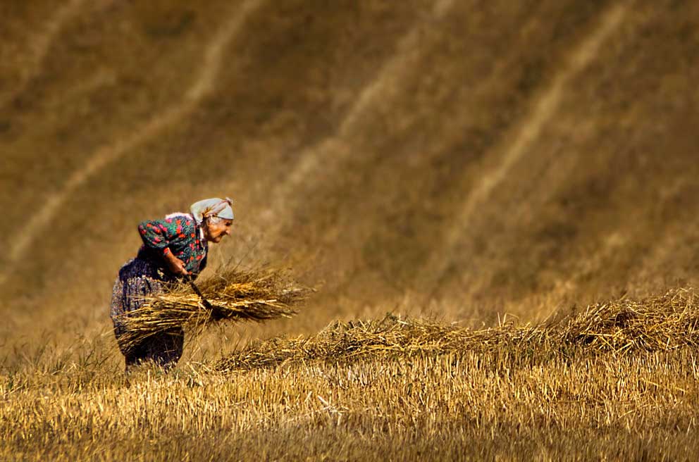 Resmi B�y�tmek ��in T�klay�n�z