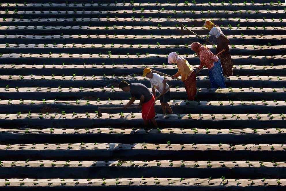 Resmi B�y�tmek ��in T�klay�n�z