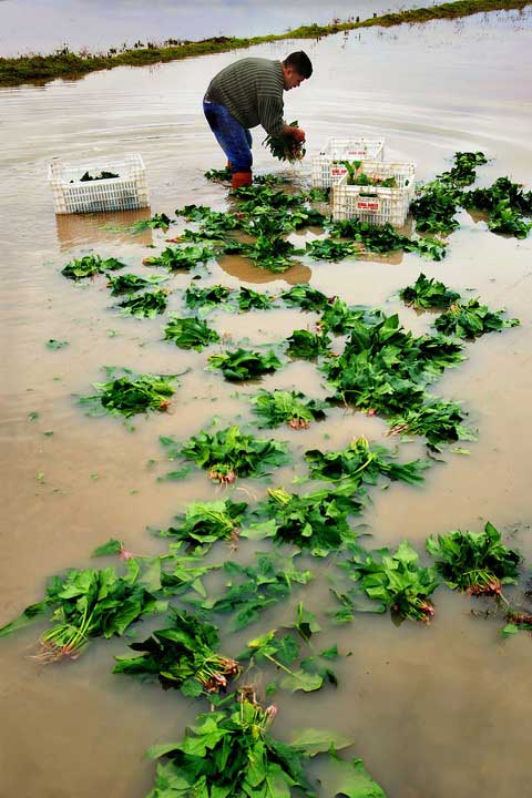 Resmi B�y�tmek ��in T�klay�n�z