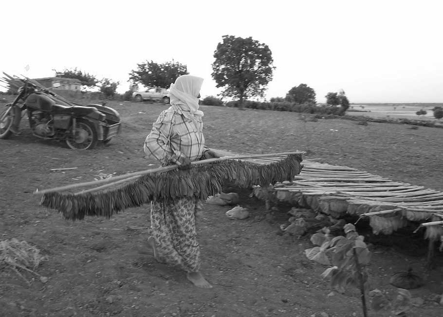 Resmi B�y�tmek ��in T�klay�n�z