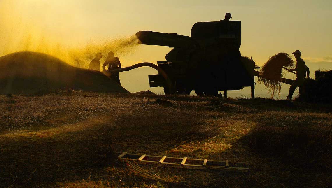 Resmi B�y�tmek ��in T�klay�n�z