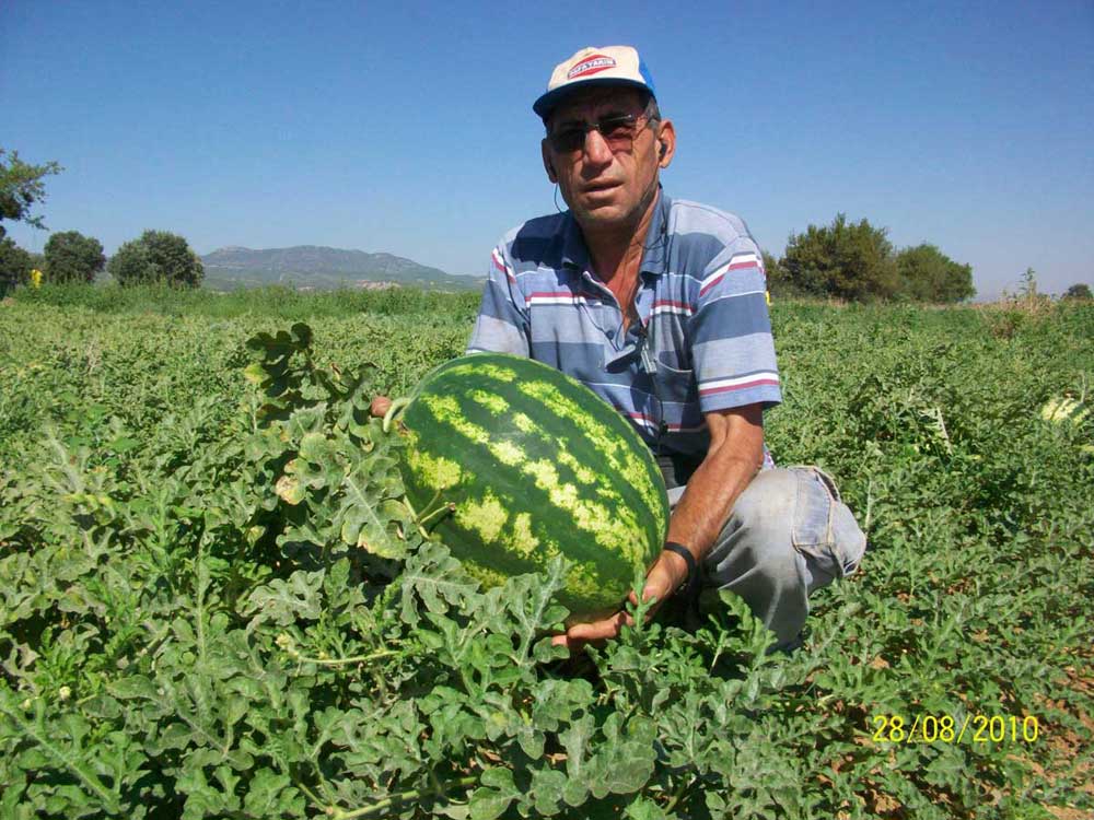 Resmi Bytmek in Tklaynz