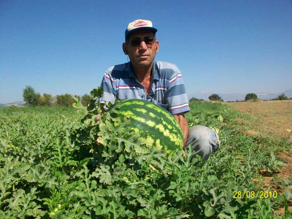 Resmi Bytmek in Tklaynz