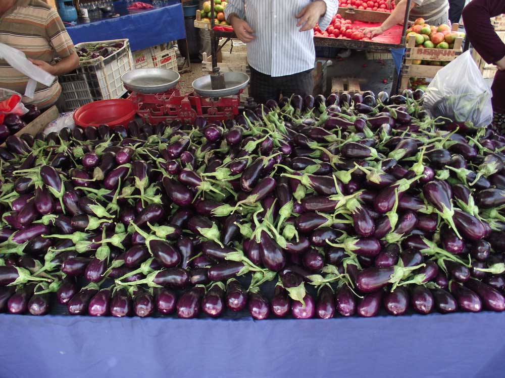 Resmi Bytmek in Tklaynz