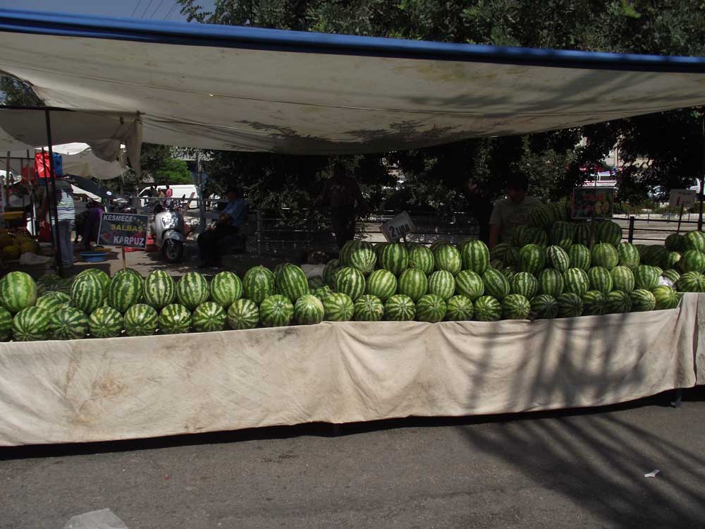 Resmi Bytmek in Tklaynz