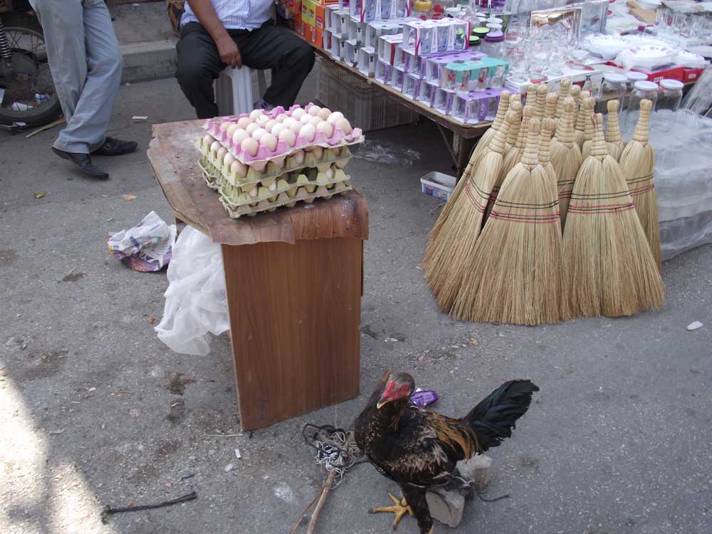 Resmi Bytmek in Tklaynz